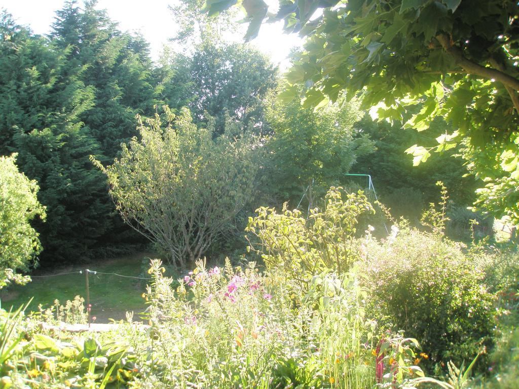 Bonnac-la-Côte La Ferme De Leychoisier B&B 외부 사진