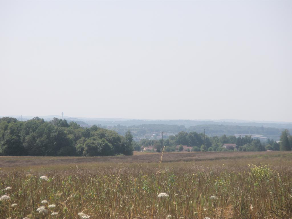 Bonnac-la-Côte La Ferme De Leychoisier B&B 외부 사진